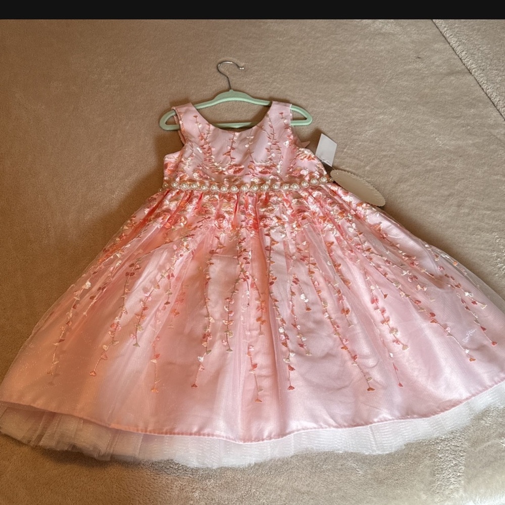 Girls dress new with tags